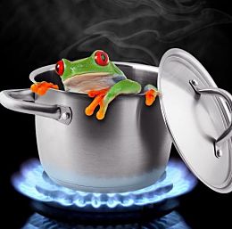 frog-in-boiling-water-just-say-no-physician-burnout_opt260w