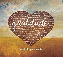 gratitude-journal-for-physicians-eeyore_opt-240W
