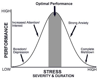 physician-burnout-stress-performance