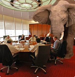 physician burnout elephant in the room physician leadership opt
