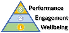 Physician Wellbeing Engagement Performance