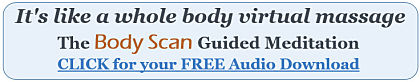 BodyScan-3_opt420W.jpg
