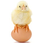 physician-burnout-quality-of-care-chicken-and-egg-OPT150W
