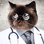 physician burnout survey 