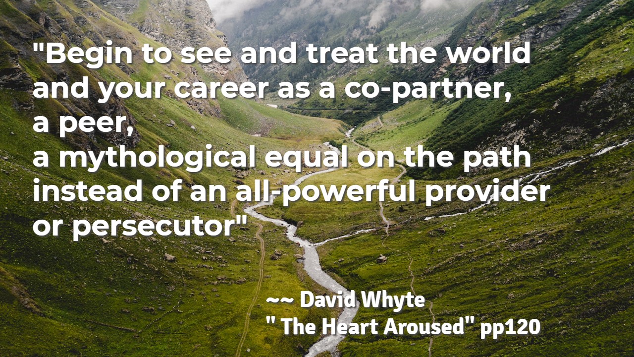 Whyte career as partner (1)