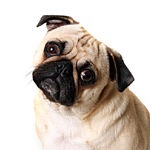 ICD-10-silly-codes-Fotolia_8715928_XS_opt150W