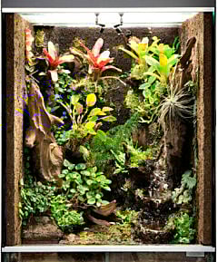 physician-career-terrarium-relationship-burnout-240W