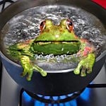 physician-burnout-frog-in-a-pot-just-say-no_opt-150W